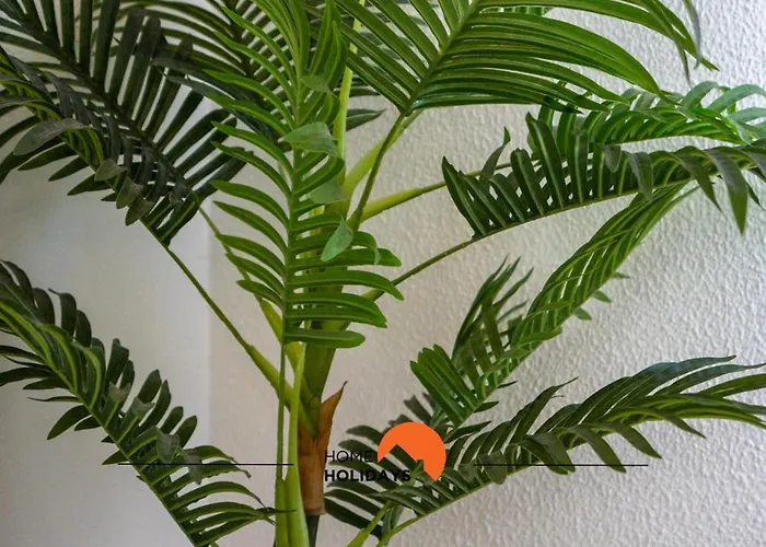 #002 Donalds Flat By Holidays