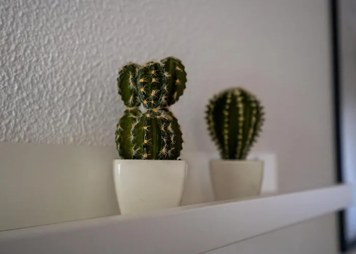 Appartement #2 Amazing 3 Bedrooms -Center- 5 mim Walk beach