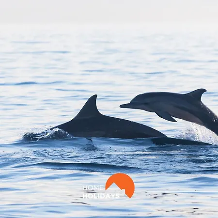 Appartement #002 Donalds Flat By Holidays *