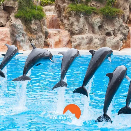 Appartement #002 Donalds Flat By Holidays *