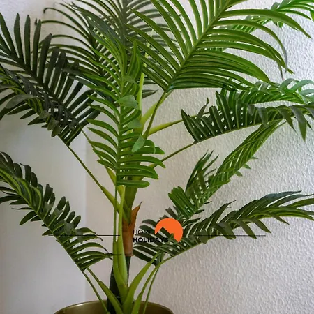 #002 Donalds Flat By Holidays